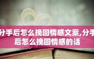 分手不是终结，成功挽回前女友的经验分享（如何在分手后挽回前女友）