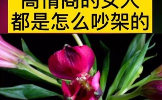 为什么拼命挽回却依旧无济于事？