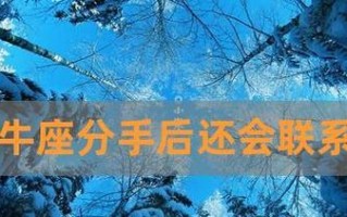 重拾金牛男心（重新挑起金牛男的兴趣和热情）