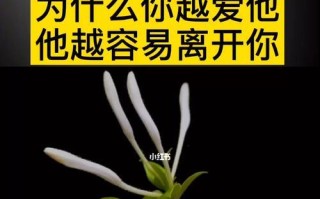 异地分手后该如何挽回（15个步骤教你重新争取爱情）