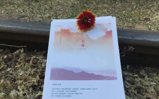 《挽回无望的爱》（绝望爱情的刻骨铭心）