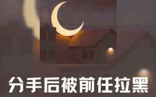 被前男友烦了怎么挽回？有效沟通和情感修复的策略是什么？