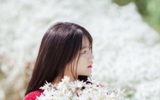 挽回感情的技巧有哪些？如何有效修复和情人的关系？