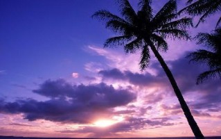 异地恋分手后挽回男友的方法？如何处理没时间陪伴的问题？