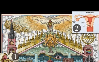 探析古希腊神话中的俄狄浦斯情结与厄勒克特拉情结（探究神话人物命运的悲剧困境与心理冲突）