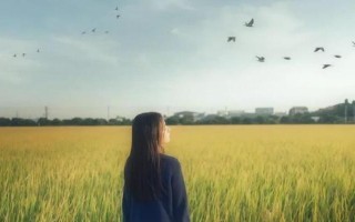 如何赢回被冷落的女生的心？有效沟通和行动策略是什么？