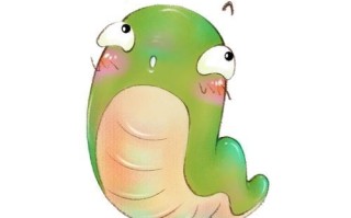 如何挽回生肖蛇的失去（掌握关键技巧）