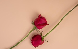 对方不爱你了如何挽回？挽回爱情的有效方法有哪些？