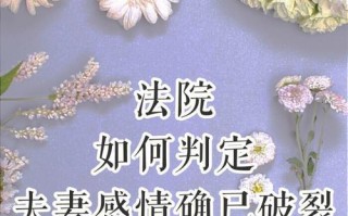 面对家庭暴力我该怎么办？如何寻求帮助和支持？