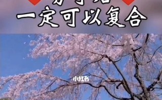 分手后什么情况下可以考虑复合？复合的正确时机是什么时候？