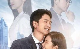 电视剧婚姻密码介绍是什么？剧情亮点有哪些？
