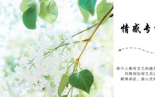 挽回情感，从心开始（如何让爱情复苏）