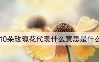 分手时送几朵玫瑰合适？分手玫瑰花语含义是什么？