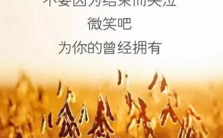 挽回爱情：只能靠自己的努力