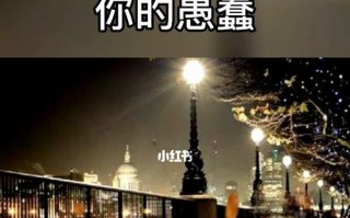 重建信任（从原因分析到行动计划）