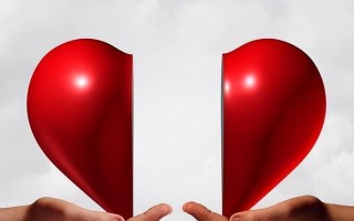 如何挽回离婚老公心凉了的情感（掌握正确方法）