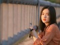 白领丽人如何用心挽回失去的丈夫（失去并非终点）
