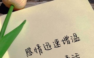 我对老婆说的真心话（表达感恩之情）