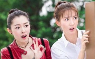 电视剧神秘女谍剧情介绍？主要角色和剧情亮点是什么？