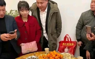 彩礼引发的家庭矛盾，我该如何选择（男友与彩礼的纠葛）