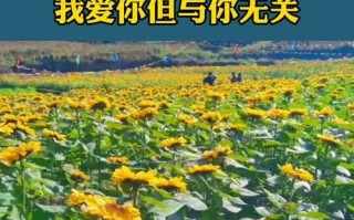 得了这种病你就会失去爱情！真的无法挽回吗？