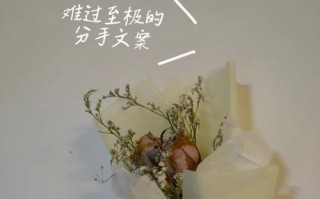 如何在分手时处理自己的情绪（让对方知道你难过）