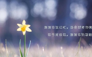男人心凉了该不该挽回？挽回感情的正确方法是什么？
