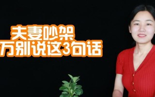 夫妻吵架离婚后怎么挽回（如何用正确的方法挽回婚姻、情感）