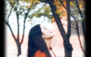 读情感与形式，探索情感生活的深度（用文字描绘内心的世界）