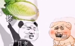 年前如何告别单身狗？10个实用手段助你成功脱单？