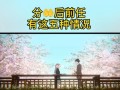 前任有了新欢但仍然联系我，如何挽回这段感情？