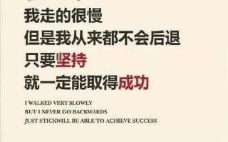 一己之力扭转败局（挽回失败的成功经验）