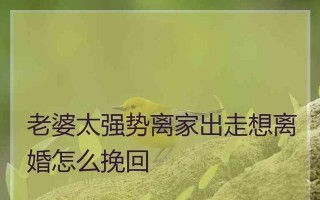 挽回死心的老婆，教你如何重修旧好（15个行之有效的技巧）