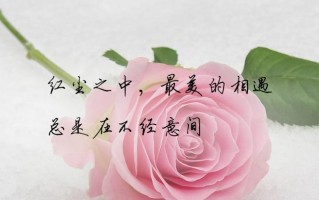 分手后不再联系，是不爱了还是放不下（揭秘分手后不再联系背后的真实原因）