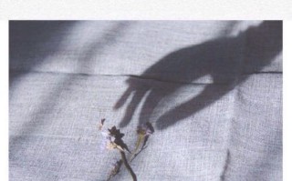 用情话超长挽回女友的心（深情笔墨穿透她的心扉）