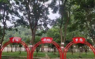 读书改变命运，让生命绽放（以读书为支撑）
