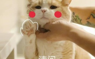 谈恋爱的真谛（认清）