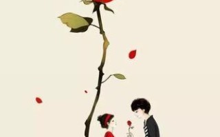 花语暗示分手与挽回爱情（以哪些花语为代表）