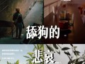 异地舔狗男分手后如何挽回？挽回策略有哪些？