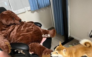 面对男友嫌弃我丑不带回家过年怎么办？如何改善自我形象？