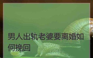 怎么挽回前夫？有效沟通和情感重建的策略是什么？