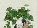 厚脸皮挽回真的有效吗？如何正确处理分手后的关系？
