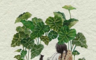 厚脸皮挽回真的有效吗？如何正确处理分手后的关系？