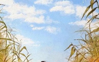 前男友很理智如何挽回？理智型分手的挽回策略是什么？