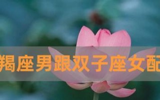 如何挽回魔蝎座女友的心（掌握她的内心世界）