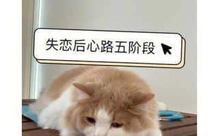 分手后复合的5个心态原因是什么？如何处理这些复合心态？