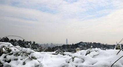梦见下雪，寓意何在（解析梦境中的雪景）-第1张图片-爱昵情感