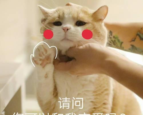 谈恋爱的真谛（认清）-第1张图片-爱昵情感