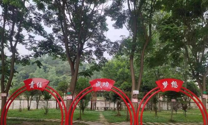 读书改变命运，让生命绽放（以读书为支撑）-第1张图片-爱昵情感