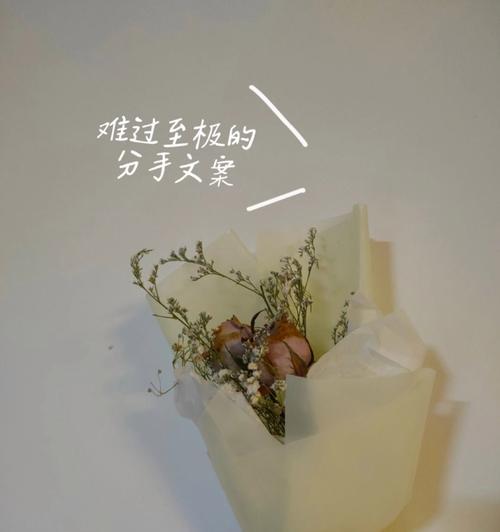 如何在分手时处理自己的情绪（让对方知道你难过）-第1张图片-爱昵情感